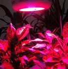 90W-गुजरात हीड्रोपोनिक्स और बागवानी एवं ग्रीन हाउस नेतृत्व इनडोर पौधों के लिए रोशनी बढ़ने
