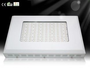 DIY एलईडी विकसित पौधे प्रकाश RCG144 * 3W हीड्रोपोनिक्स ग्रीनहाउस 3-5times HPS के लिए