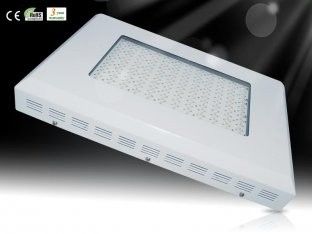 DIY एलईडी विकसित पौधे प्रकाश RCG144 * 3W हीड्रोपोनिक्स ग्रीनहाउस 3-5times HPS के लिए