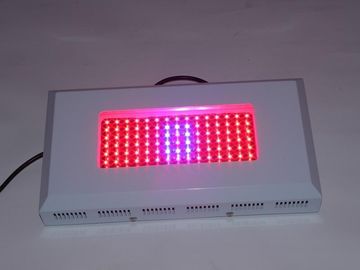 हाई पावर Hydroponic Lightst 1Watt एसी 85 ~ 264V बढ़ती एलईडी, ग्रीनहाउस रोशनी बढ़ती