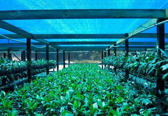 ग्रीनहाउस शेड नेट, पुष्प फार्म के लिए कृषि शेड कपड़ा