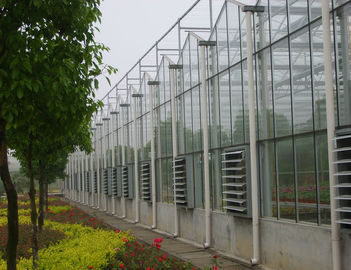 एकल फिल्म / मुद्रास्फीति फिल्म / ग्लास वाणिज्यिक Venlo ग्रीनहाउस, 9600mm काल