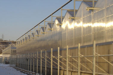 4000mm खंड वाणिज्यिक Venlo पॉली कार्बोनेट ग्रीनहाउस 2/3 अवधि प्रति लकीरें, 9600mm काल