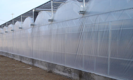 9600mm अवधि वाणिज्यिक ग्रीन हाउस, 4000mm खंड हवा मुद्रास्फीति फिल्म Venlo ग्रीनहाउस