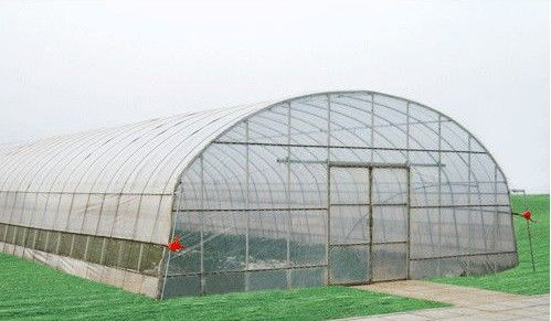 10000mm अवधि वाणिज्यिक greenhouses किफायती सुरंग ग्रीनहाउस