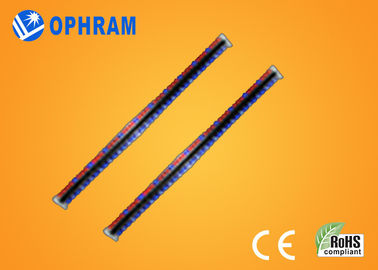 उच्च चमक Epistar IP65 लाल और नीले CE / ROHS के साथ रोशनी बढ़ती एलईडी