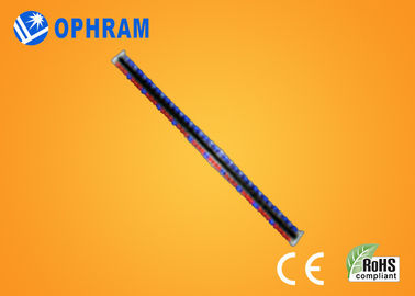 उच्च चमक Epistar IP65 लाल और नीले CE / ROHS के साथ रोशनी बढ़ती एलईडी