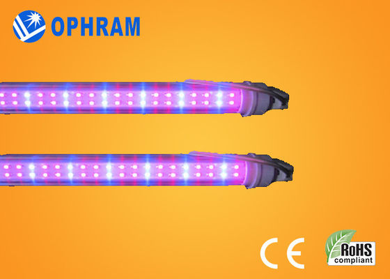 हाई पावर IP20 टमाटर / सलाद / मारिजुआना इंडोर एलईडी रोशनी बढ़ती AC85V-265V