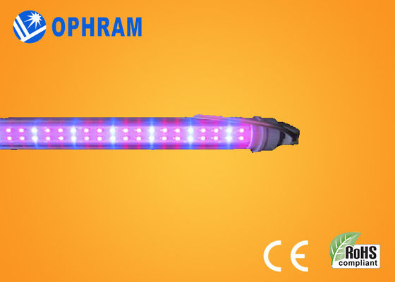 हाई पावर IP20 टमाटर / सलाद / मारिजुआना इंडोर एलईडी रोशनी बढ़ती AC85V-265V
