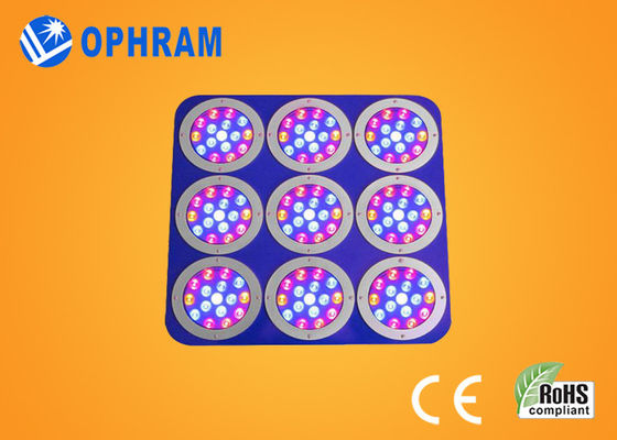 Epistar लाल / नीले पूर्ण स्पेक्ट्रम धातु प्रकरण के साथ रोशनी बढ़ती एलईडी