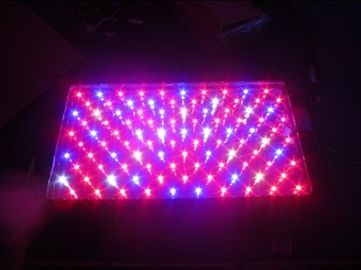 120W उच्च शक्ति एलईडी लाइट ग्रीन हाउस बढ़ो